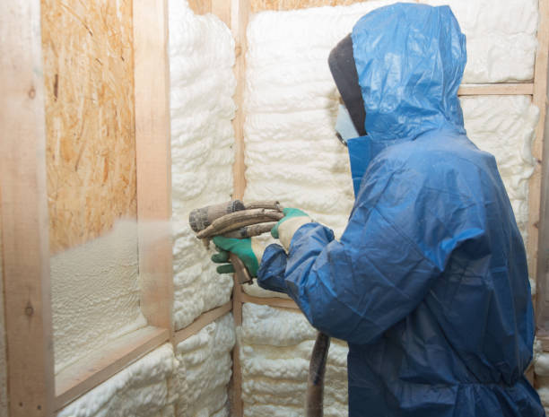 Eco-Friendly or Green Insulation Solutions in Wilton, CA